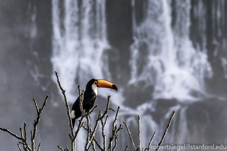 iguazu